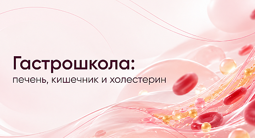 Гастрошкола: печень, кишечник и холестерин